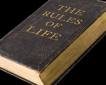 7 Ways a Lawyer Can Help You Landscape Your HOA Property Without Fines
