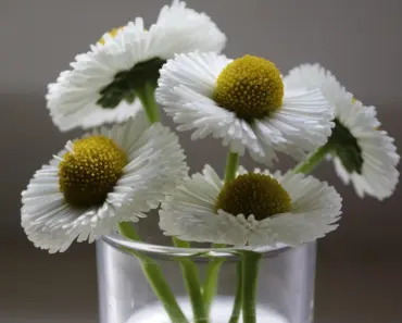 32 Cool Reformation Picks Perfect for Spring