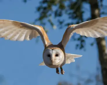 Al Roker On Turning His Lifelong Love Of Weather Into A Kids’ Show