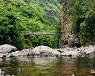 “Will Ciara Miller Return to the Summer House for the Upcoming Reunion?”