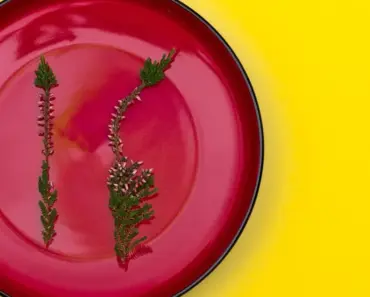 Margot Robbie Ditches Heels for the Coolest Chicest Burgundy Flats Trends of 2023