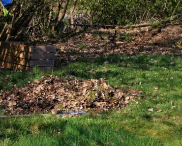 Spring Cleaning the Easy Way (Tools That Make It Faster)