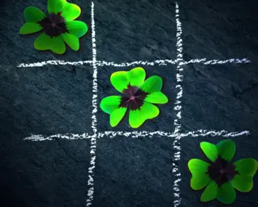 How to Care for Fiddle Leaf Figs