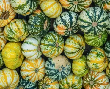 Forum Members Review Demna’s Fall 2026 Runway Debut as Gucci Creative Director