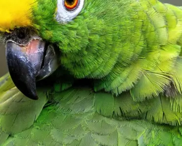 The Best Amazon Deals to Shop Today (Updated Daily)