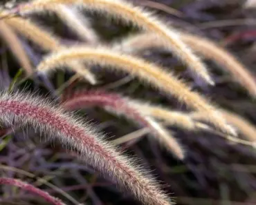 Rihanna’s 5 Soft Purple Eye Shadow Looks to Steal the Spotlight This Season