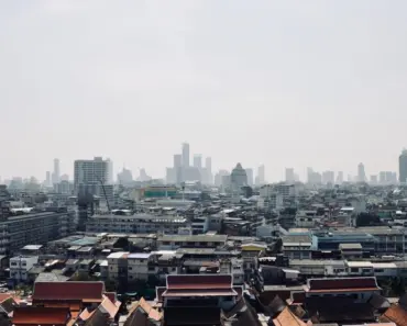 5 Unbeatable Summer Bulbs That Thrive in Neglect and Deliver Show-Stopping Results