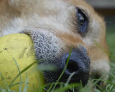 A grandma’s Christmas choice is making parents rethink gifts