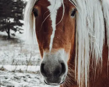 Addison Rae Wore Tiniest Micro Shorts with Jaw-Dropping 5-Inch Fringe