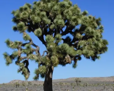 13 Clues Hinting Katie Holmes and Joshua Jackson Might Be Back Together