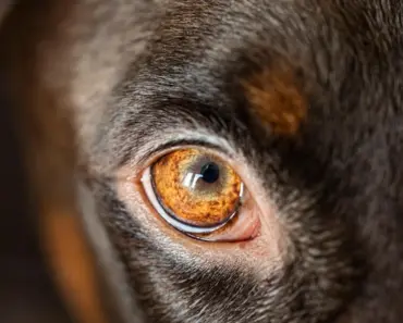 The Best Tools for Mindfulness with Children that Promote Focus and Calm