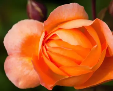 7 Unforgettable Stories of How Celebrities Met and Started Dating