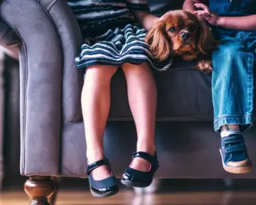 Living With Kids: Julie Blackmon