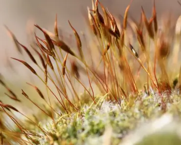 Secrets to Get Kate Moss’s Iconic Textured Hair, According to a Celebrity Stylist