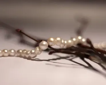 11 Spring Essentials to Complete Any Outfit with Must-Have Accessories