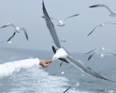 Addison Rae’s 7 Tiniest Micro Shorts Moments That Broke the Internet