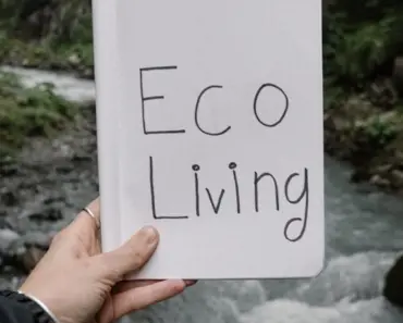 Green Living Tips for a More Sustainable Lifestyle