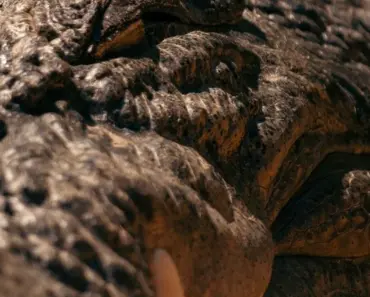 Tackling Tough Topics