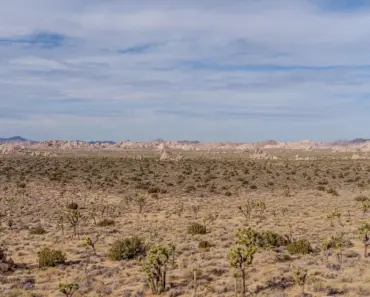 Katie Holmes and Joshua Jackson 5 Reasons Their Reunion Rumors Are Heating Up