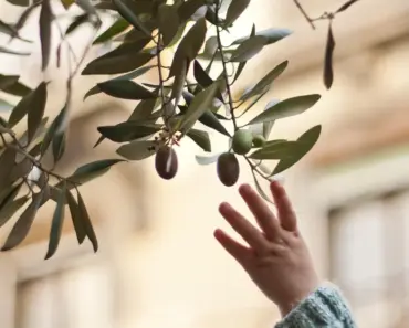 Healthy Snacks for Kids: Fun, Easy, and Nutritious Ideas