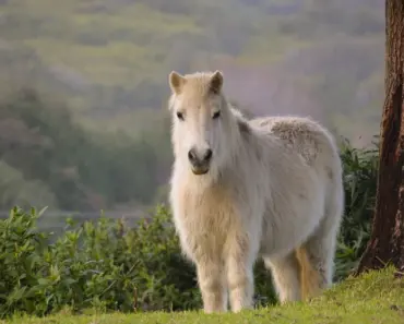 13 Essential Fit Tips, Styling Ideas, and Our Favorite Recent Finds for a Chic and…