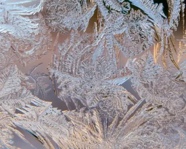 Make a Christmas Budget