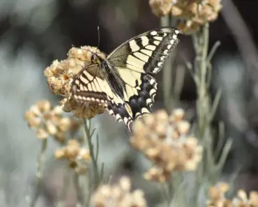 7 Surprising Facts Experts Say About the Much Longer History of Male Infertility