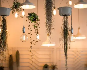 Beyond Lamps & Chandeliers: The New Rules of Beautiful Home Lighting