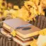13 Cozy Fall Books If You Love