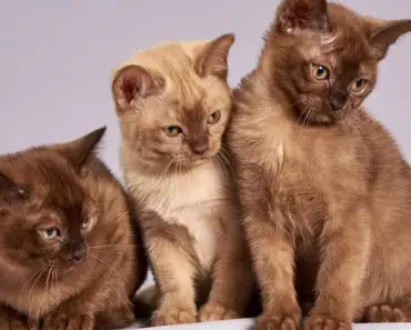 Why I Pack 3 Essential Sunscreens for Every Weekend Getaway