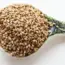 How to Grow Sesame Seeds