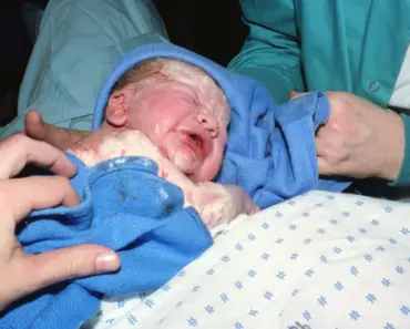 7 Surprising Birth Month Orchids to Welcome into Your Life