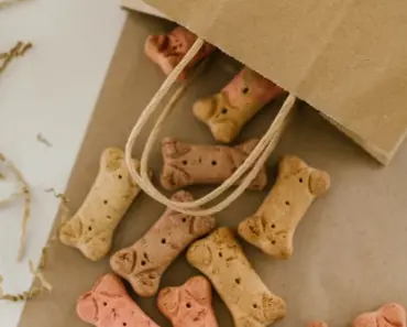 The Perfect Gift: Dip-Dyed Treat Bags