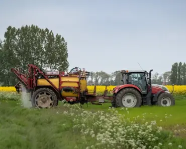 Tried the Top 3 Most Effective DIY Weed Killers That Actually Work